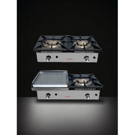 cocina-industrial-dos-fuegos-CG2F-1