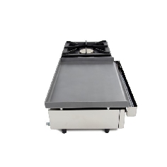 100PGLF-650-LOFER.jpg 2