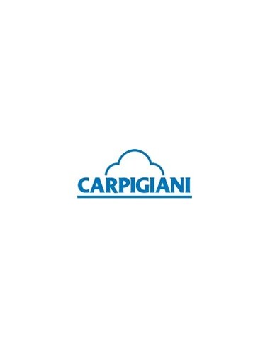 Carpigiani